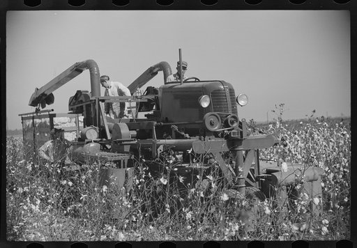Rust cotton picker on Cloverdale Plantation, Clarksdale, Mississippi Delta, Mississippi