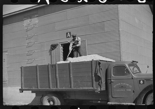 Rust cotton picker on Cloverdale Plantation, Clarksdale, Mississippi Delta, Mississippi
