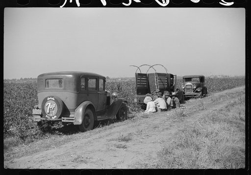 Untitled photo, possibly related to: Mexican seasonal laborers resting during noon hour after picking cotton on Hopson Plantation, Clarksdale, Mississippi