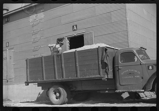 Untitled photo, possibly related to: Loading cotton seed from seed house into truck to be taken to cotton seed oil plant, Hopson Plantation Company, Clarksdale, Mississippi