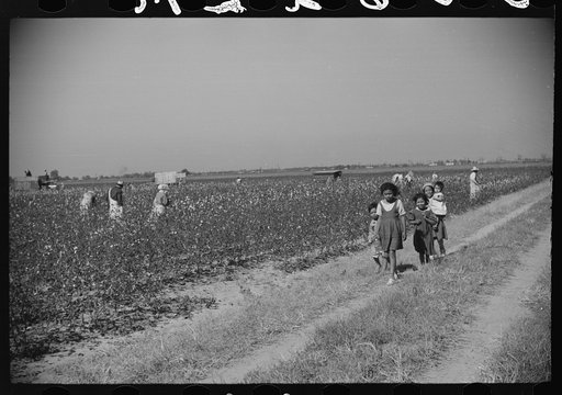 Untitled photo, possibly related to: Mexican seasonal laborers returning home after picking cotton on Hopson Plantation, Clarksdale, Mississippi