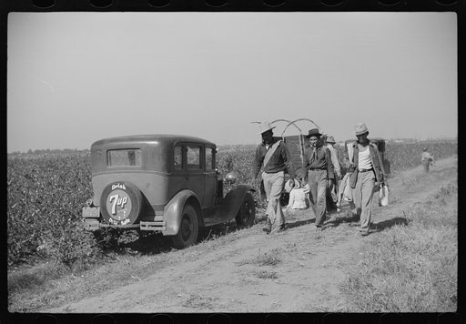 Mexican seasonal laborer returning home after picking cotton on Hopson Plantation, Mississippi