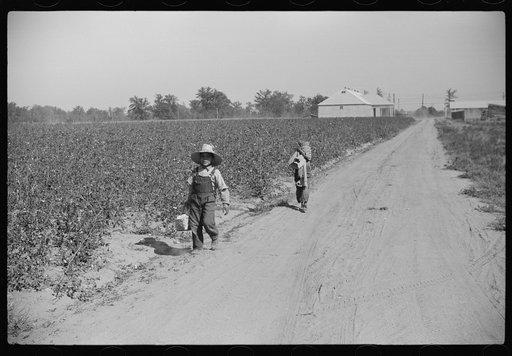 Untitled photo, possibly related to: Mexican seasonal laborers returning home after picking cotton on Hopson Plantation, Clarksdale, Mississippi
