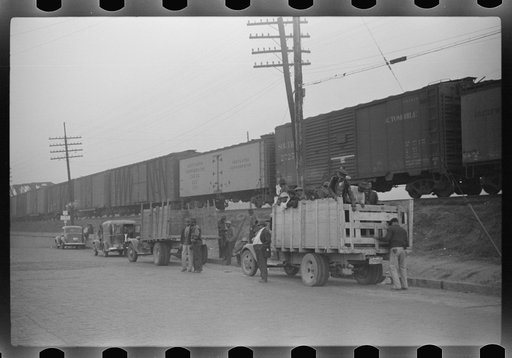 Untitled photo, possibly related to: Day laborers being hired for cotton picking on Mississippi and Arkansas plantations. Between four and six-thirty every morning during the season, near the Hallan Bridge in Memphis, Tennessee, crowds of Negroes in the streets gather and are loaded into trucks by d