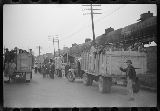 Untitled photo, possibly related to: Day laborers being hired for cotton picking on Mississippi and Arkansas plantations. Between four and six-thirty every morning during the season, near the Hallan Bridge in Memphis, Tennessee, crowds of Negroes in the streets gather and are loaded into trucks by d