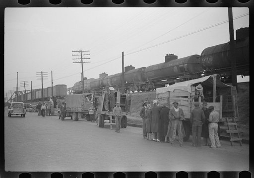 Day laborers being hired for cotton picking on Mississippi and Arkansas plantations. Between four and six-thirty every morning during the season, near the Hallan Bridge in Memphis, Tennessee, crowds of Negroes in the streets gather and are loaded into trucks by drivers who bid, and offer them anywhe