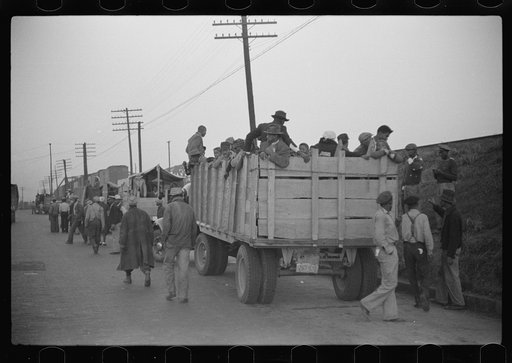 Day laborers being hired for cotton picking on Mississippi and Arkansas plantations. Between four and six-thirty every morning during the season, near the Hallan Bridge in Memphis, Tennessee, crowds of Negroes in the streets gather and are loaded into trucks by drivers who bid, and offer them anywhe