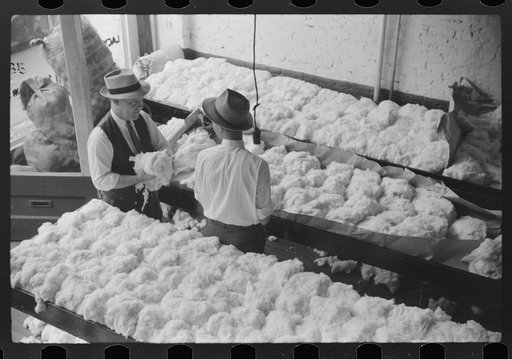 Untitled photo, possibly related to: Sampling cotton in classing room of cotton factor's office. Memphis, Tennessee