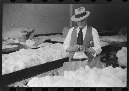 Sampling cotton in classing room of cotton factor's office. Memphis, Tennessee