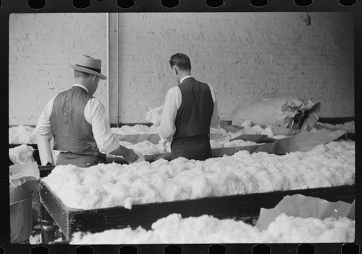 Untitled photo, possibly related to: Sampling cotton in classing room of cotton factor's office. Memphis, Tennessee