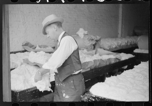 Untitled photo, possibly related to: Sampling and classing cotton in classing rooms of cotton factor's office, Memphis, Tennessee