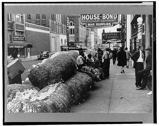 Cotton snakes (waste cotton) on Cotton Row, Front Street, Memphis, Tennessee