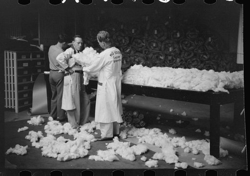 Untitled photo, possibly related to: Classing cotton in factor's office, Memphis, Tennessee