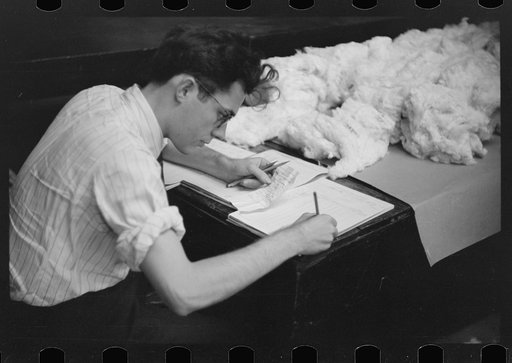 Untitled photo, possibly related to: Classing cotton in factor's office, Memphis, Tennessee