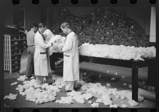 Untitled photo, possibly related to: Classing cotton in factor's office, Memphis, Tennessee
