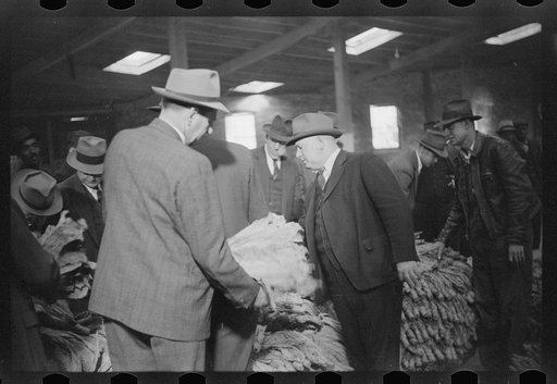 Buyers looking at tobacco in warehouse during auction sales, Durham, North Carolina
