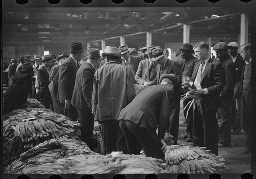 Untitled photo, possibly related to: Buyers looking at tobacco in warehouse during auction sales, Durham, North Carolina