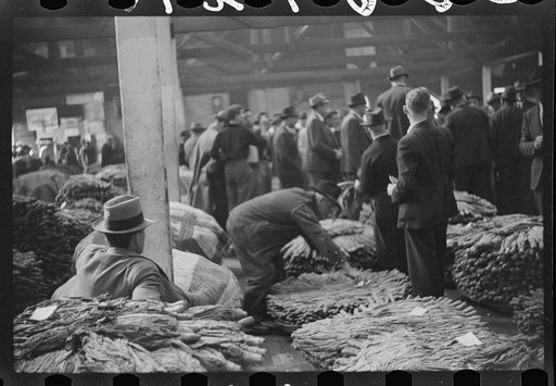 Untitled photo, possibly related to: Buyers looking at tobacco in warehouse during auction sales, Durham, North Carolina