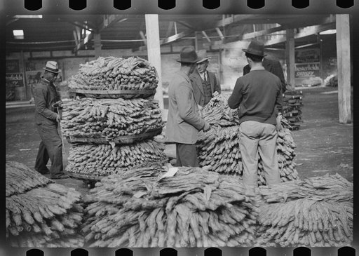 After the sale at auction the tobacco is piled up in baskets and wheeled to the trucks for loading. Durham, North Carolina