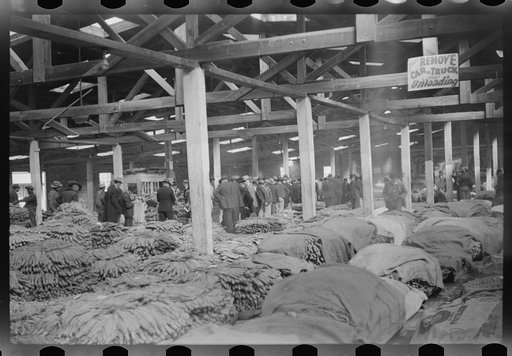 Tobacco auction in large warehouse, Durham, North Carolina