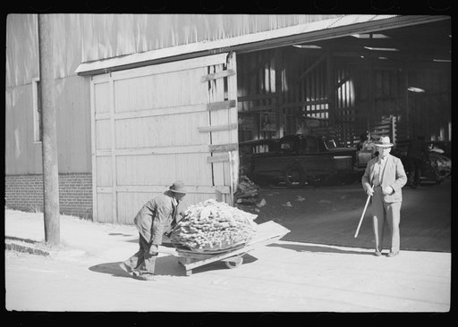 Untitled photo, possibly related to: Taking tobacco into warehouse for auction, Durham, North Carolina