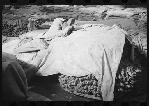 Untitled photo, possibly related to: Very often farmers must travel long distances at night or wait several days for tobacco to be sold. They can be found sleeping on the covered piles of tobacco in warehouses or in their trucks or the floors of camp rooms. Durham, North Carolina