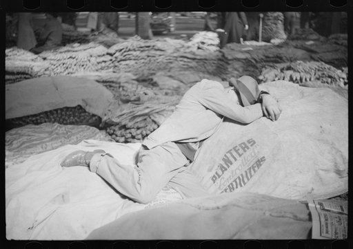 Untitled photo, possibly related to: Very often farmers must travel long distances at night or wait several days for tobacco to be sold. They can be found sleeping on the covered piles of tobacco in warehouses or in their trucks or the floors of camp rooms. Durham, North Carolina