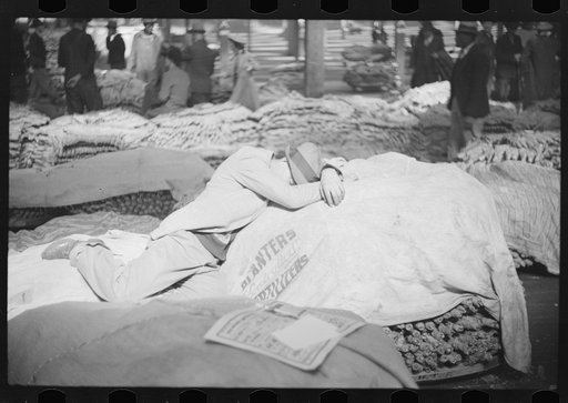 Very often farmers must travel long distances at night or wait several days for tobacco to be sold. They can be found sleeping on the covered piles of tobacco in warehouses or in their trucks or the floors of camp rooms. Durham, North Carolina