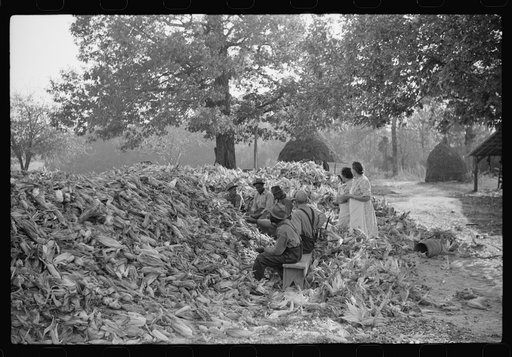 Untitled photo, possibly related to: Corn shucking on Uncle Henry Garrett's place, Negro tenant of Mr. Fred Wilkins. White women don't go to Negro shucking to help with the cooking but white men are fed by Negro women just the same as at other shucking week previous at Mr. Fred Wilkins' home. Tally 
