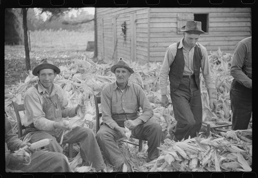 Corn shucking on farm near the Fred Wilkins place, Granville County, North Carolina