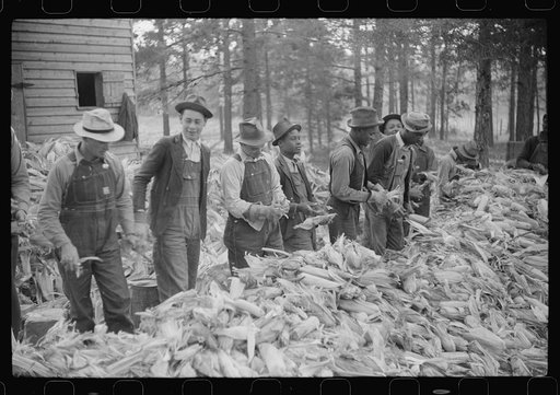 Untitled photo, possibly related to: Corn shucking on farm near the Fred Wilkins place, Granville County, North Carolina