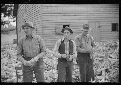Untitled photo, possibly related to: Corn shucking on farm near the Fred Wilkins place, Granville County, North Carolina