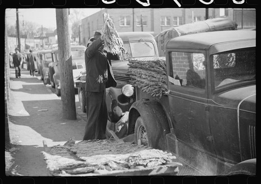 Untitled photo, possibly related to: Farmers bring their tobacco in trailers and sometimes in their cars to the warehouse where it will be auctioned. Durham, North Carolina