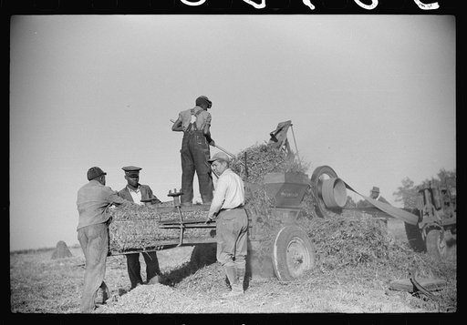 Untitled photo, possibly related to: Farmers bring their tobacco in trailers and sometimes in their cars to the warehouse where it will be auctioned. Durham, North Carolina