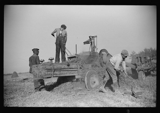 Untitled photo, possibly related to: Baling hay on the Mary E. Jones place of about 140 acres. The sons W.E. and R.E. Jones own ninty-nine and sixty acres respectively. There are eight mules on the entire place, two cows, and this year, forty acres in tobacco--no cotton. They have owned it about for