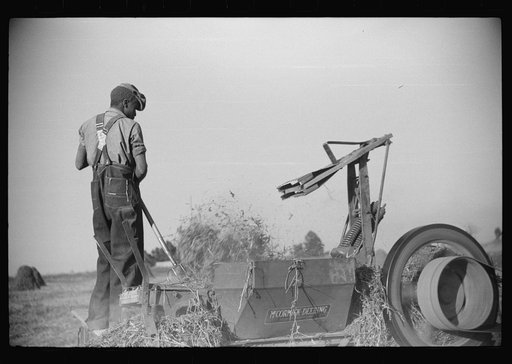 Baling hay on the Mary E. Jones place of about 140 acres. The sons W.E. and R.E. Jones own ninty-nine and sixty acres respectively. There are eight mules on the entire place, two cows, and this year, forty acres in tobacco--no cotton. They have owned it about forty years. It is on Route No. 91, abou