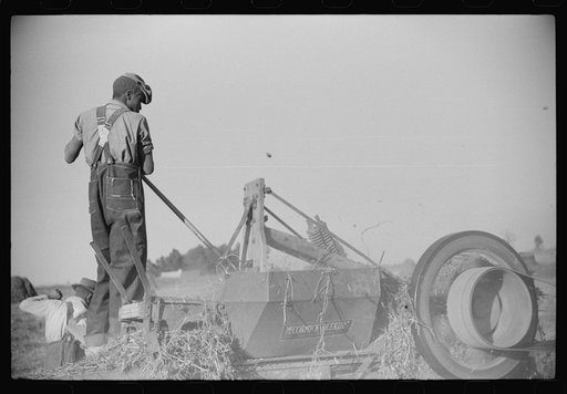 Untitled photo, possibly related to: Baling hay on the Mary E. Jones place of about 140 acres. The sons W.E. and R.E. Jones own ninty-nine and sixty acres respectively. There are eight mules on the entire place, two cows, and this year, forty acres in tobacco--no cotton. They have owned it about for