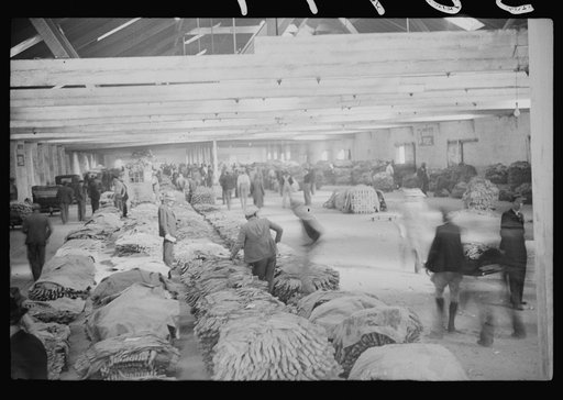 Untitled photo, possibly related to: Tobacco auction in large warehouse, Durham, North Carolina