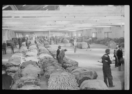 Untitled photo, possibly related to: Tobacco auction in large warehouse, Durham, North Carolina