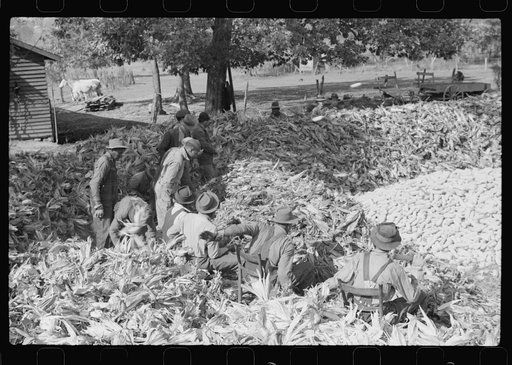Untitled photo, possibly related to: Corn shucking on farm near Fred Wilkins place. Granville County, North Carolina