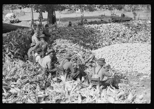Untitled photo, possibly related to: Corn shucking on farm near Fred Wilkins place. Granville County, North Carolina