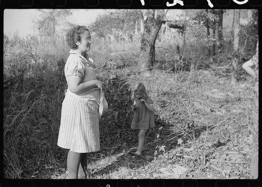Untitled photo, possibly related to: One of the Wilkins family feeding the hogs. Tally Ho, near Stem, Granville County, N. Carolina