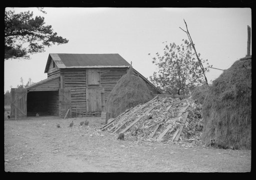 Barn and feed for livestock on Fred Wilkins farm, Tally Ho, near Stem, Granville County, North Carolina