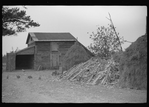 Untitled photo, possibly related to: Barn and feed for livestock on Fred Wilkins farm, Tally Ho, near Stem, Granville County, North Carolina