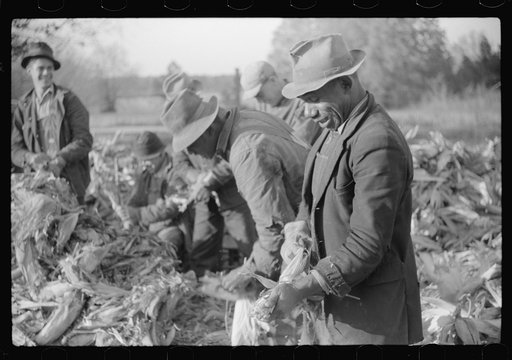 Untitled photo, possibly related to: Corn shucking on farm near the Fred Wilkins place, Granville County, North Carolina