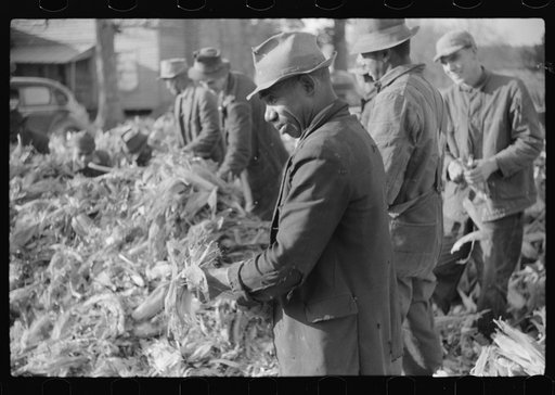 Untitled photo, possibly related to: Corn shucking on farm near the Fred Wilkins place, Granville County, North Carolina