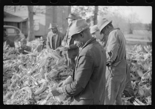 Untitled photo, possibly related to: Corn shucking on farm near the Fred Wilkins place, Granville County, North Carolina