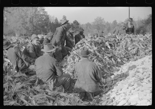 Untitled photo, possibly related to: Corn shucking on farm near the Fred Wilkins place, Granville County, North Carolina