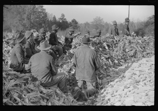 Untitled photo, possibly related to: Corn shucking on farm near the Fred Wilkins place, Granville County, North Carolina
