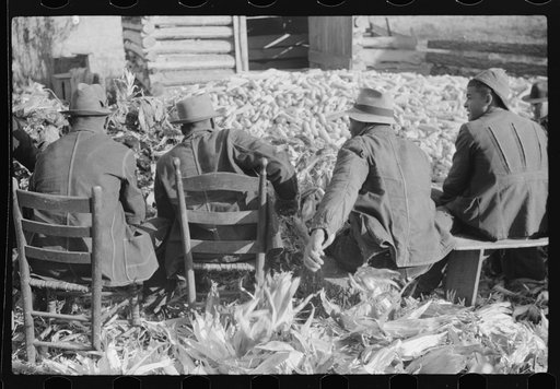 Untitled photo, possibly related to: Corn shucking on farm near the Fred Wilkins place, Granville County, North Carolina